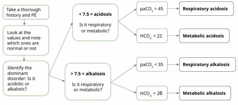 Complete ABG Interpretation Guide | Lecturio Medical