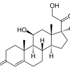 Structure of Cortisol
