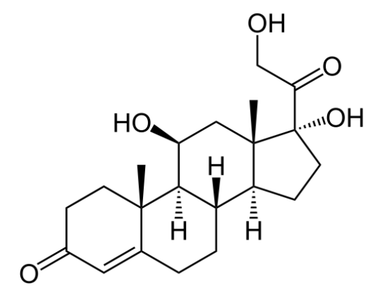 Structure of cortisol
