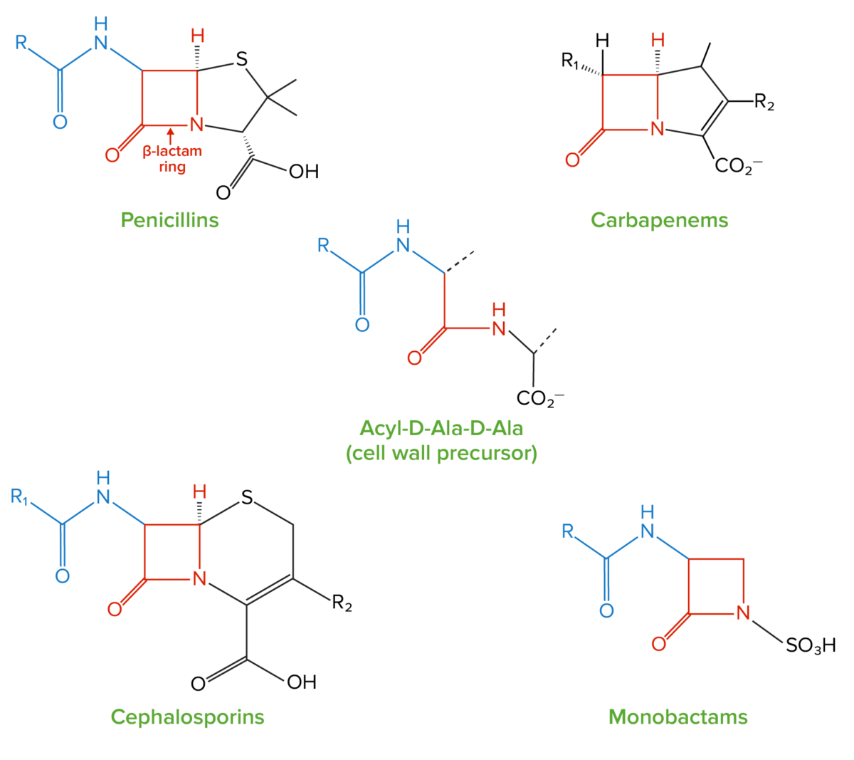 Estrutura dos beta-lactâmicos