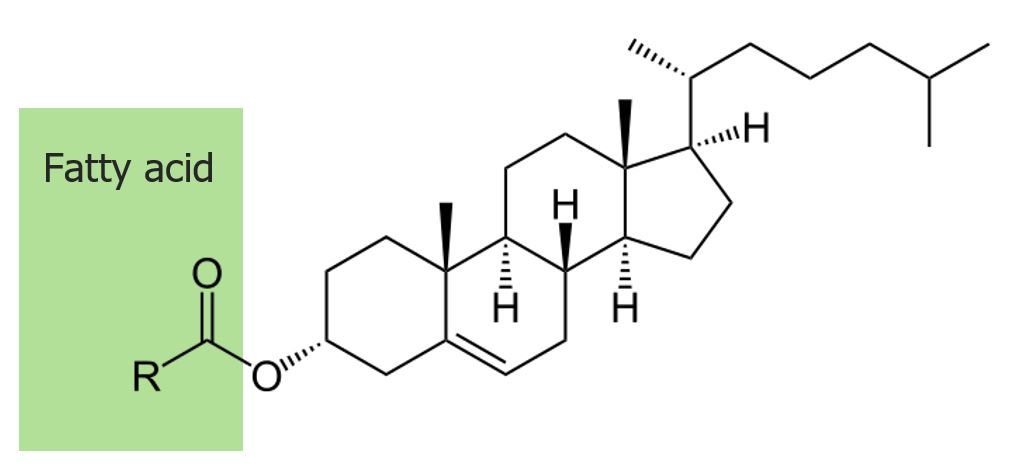 Structure of cholesteryl ester