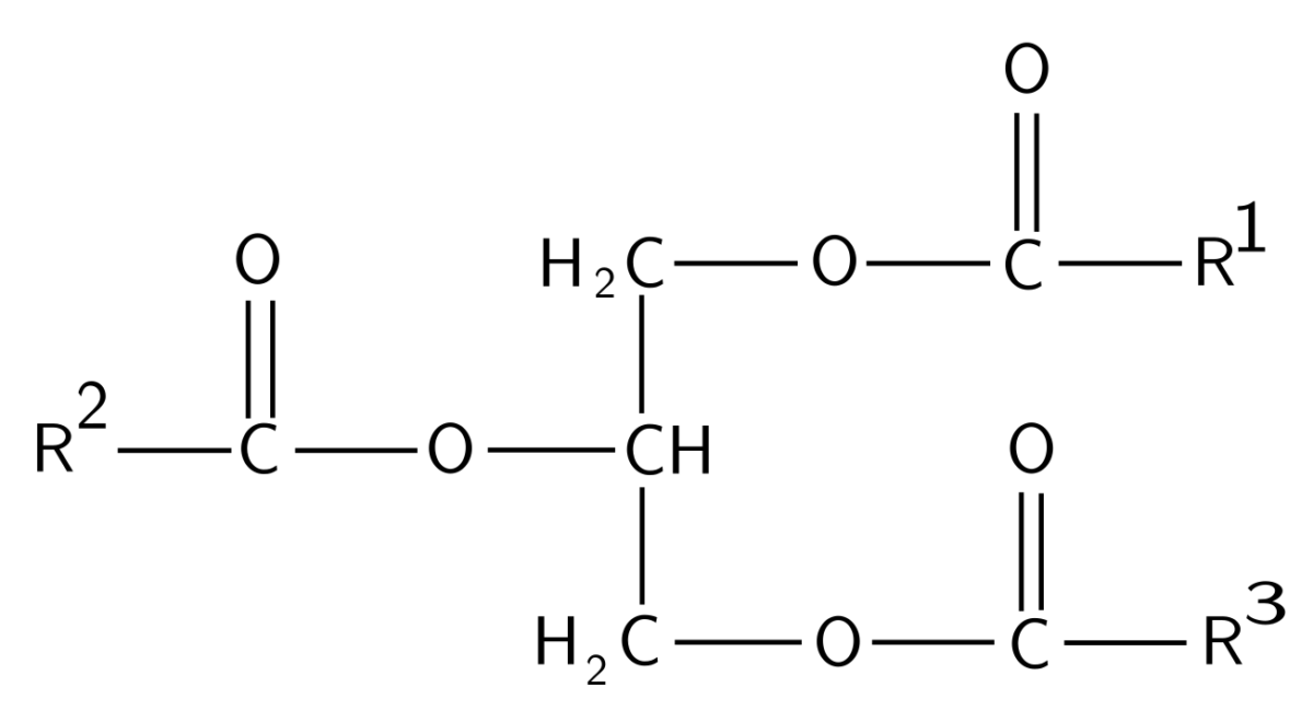 Structure of triglyceride