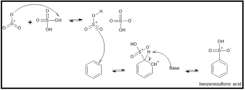 Sulfonation reaction of benzene