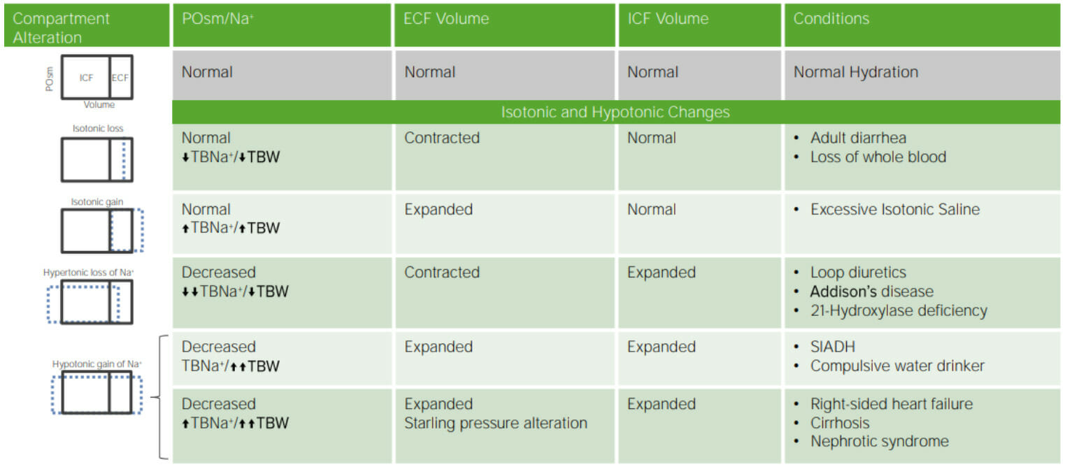 volume-depletion-and-dehydration-concise-medical-knowledge