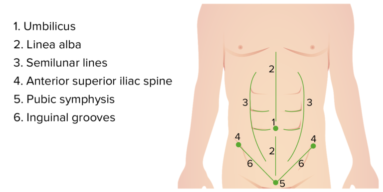 Surgical Anatomy Of The Abdomen Concise Medical Knowledge