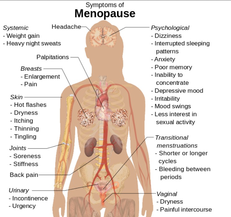 Efeitos a longo prazo da ooforectomia bilateral na pré-menopausa