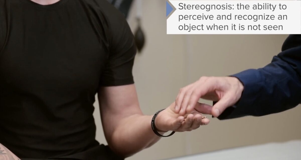 Testing for stereognosis