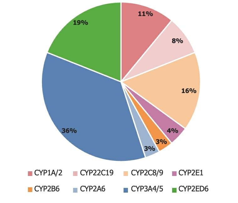 A variedade de isoenzimas cyp450