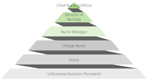 The nursing chain of command