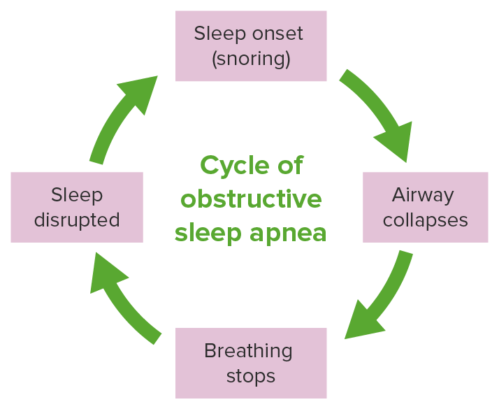 The pathological cycle of obstructive sleep apnea