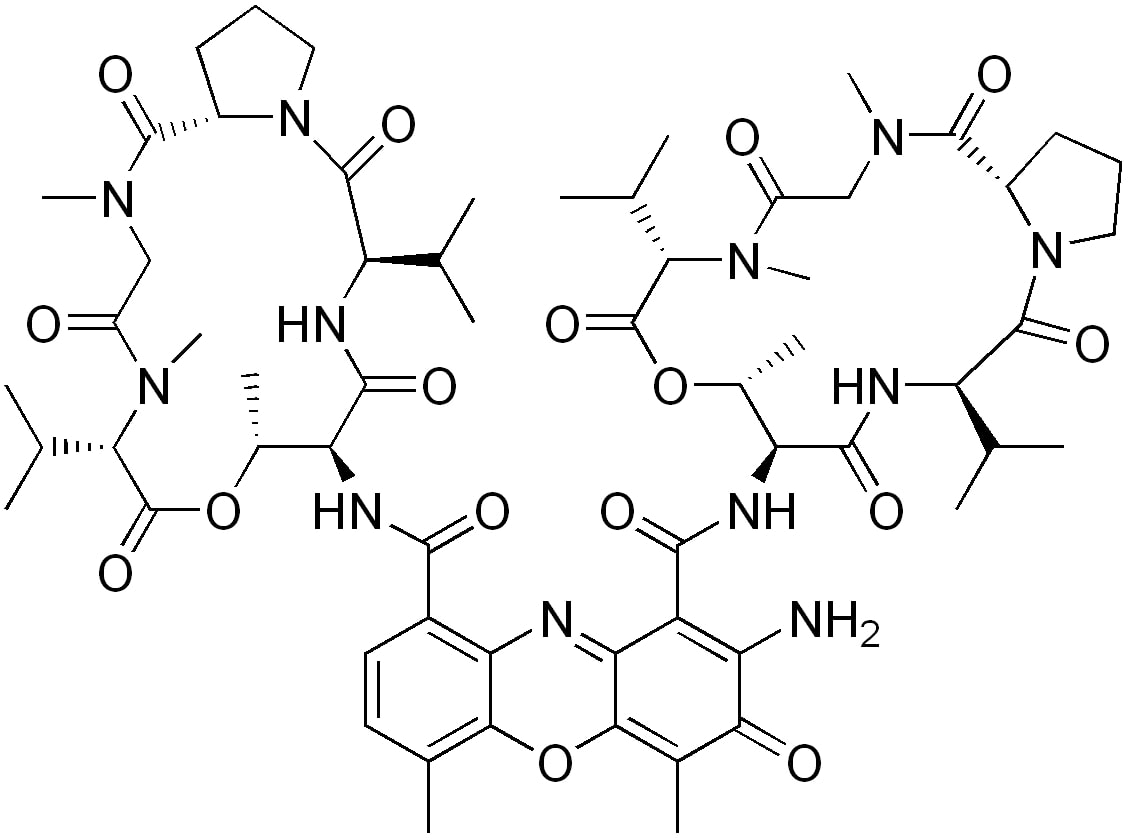 Structure of dactinomycin