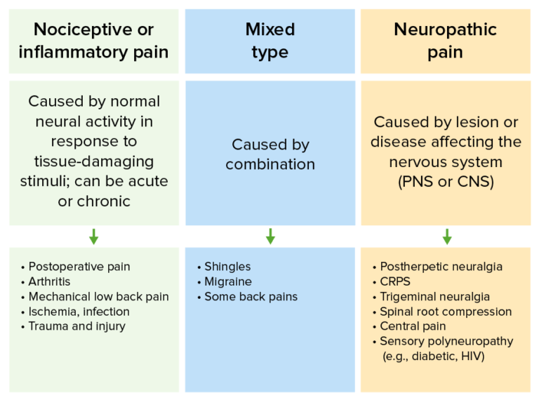 Pain: Types and Pathways | Concise Medical Knowledge