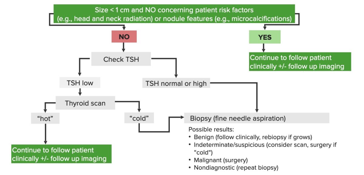 Algoritmo de diagnóstico de los nódulos tiroideos