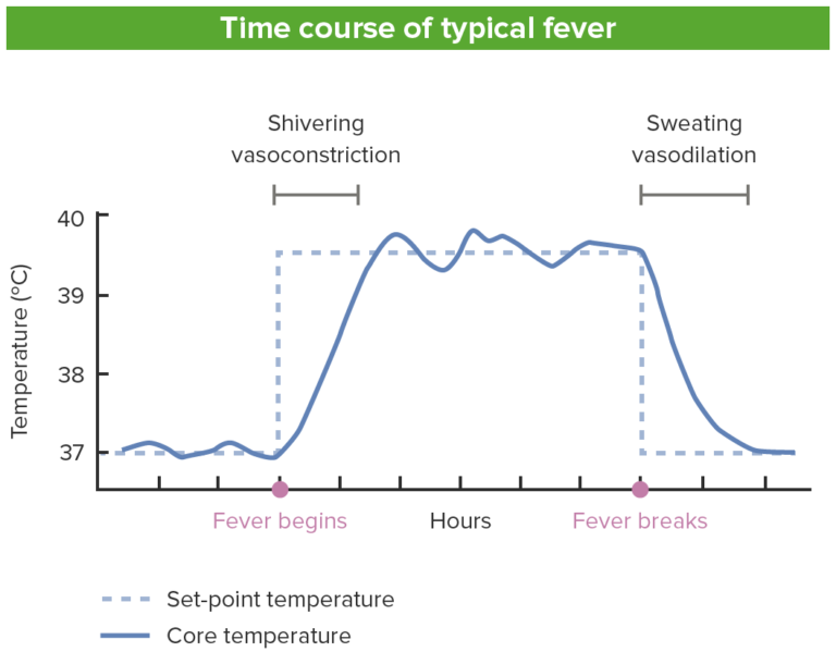 Fever | Concise Medical Knowledge