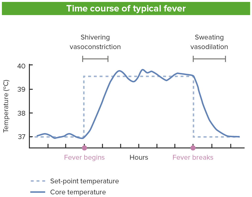 O curso do tempo de uma febre típica