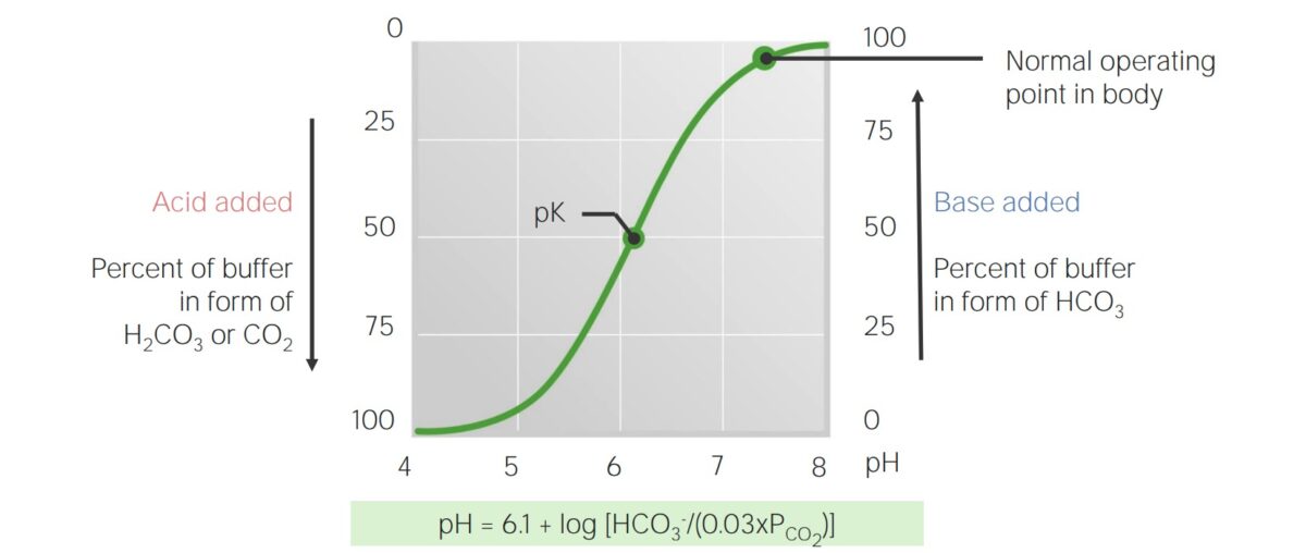 Titration curve for bicarbonate in the blood