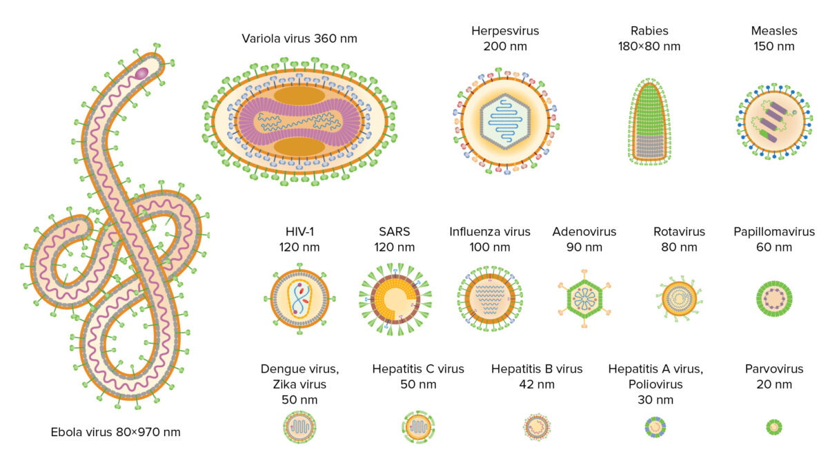 Tipos de vírus