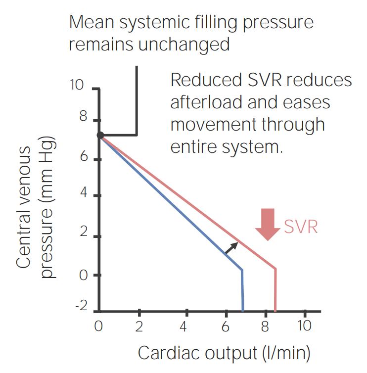 Venous function curve showing the effects of systemic vascular resistance (svr) decreasing