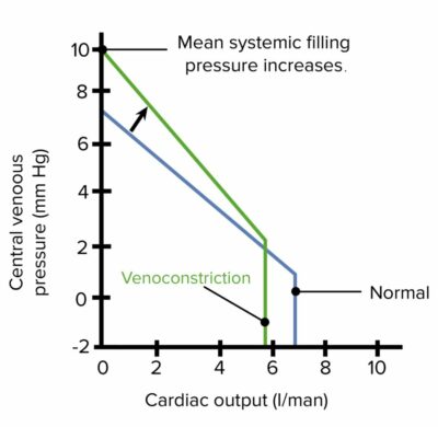 Venous Function | Concise Medical Knowledge