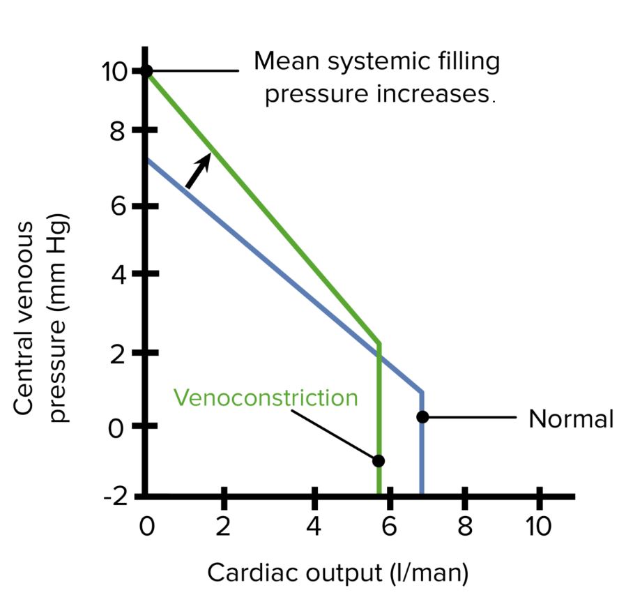 Venous function curve showing the effects of venoconstriction