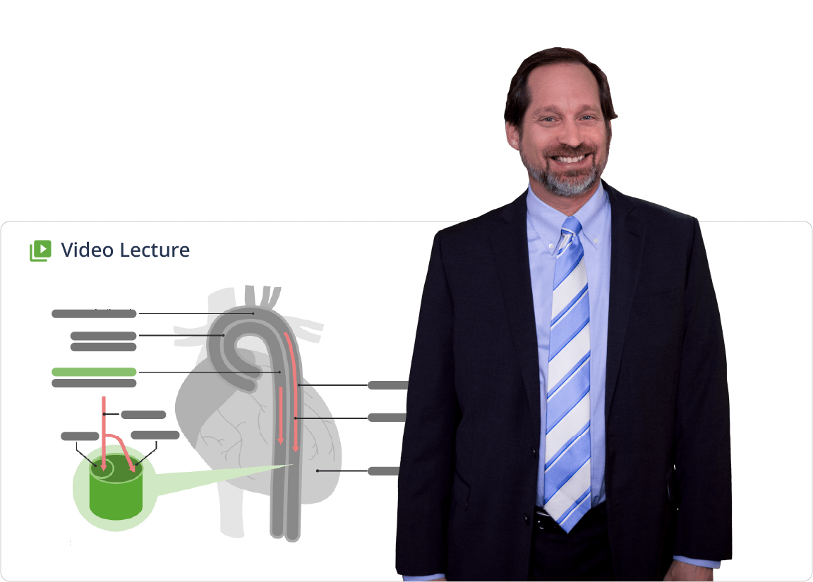 Video lecture comlex level 2 educator slides min Video lecture comlex level 2 educator slides min