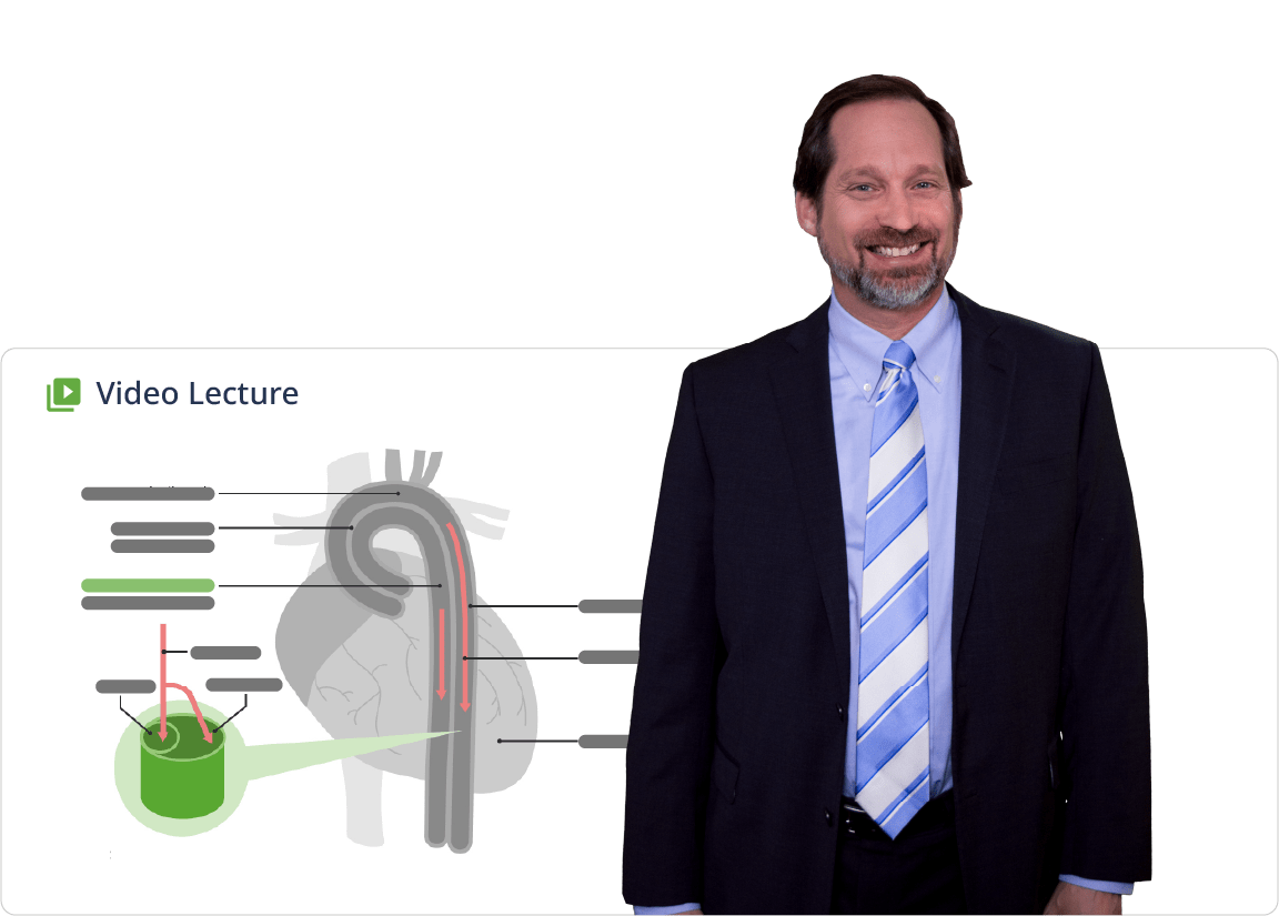 Video lecture comlex level 2 educator slides min