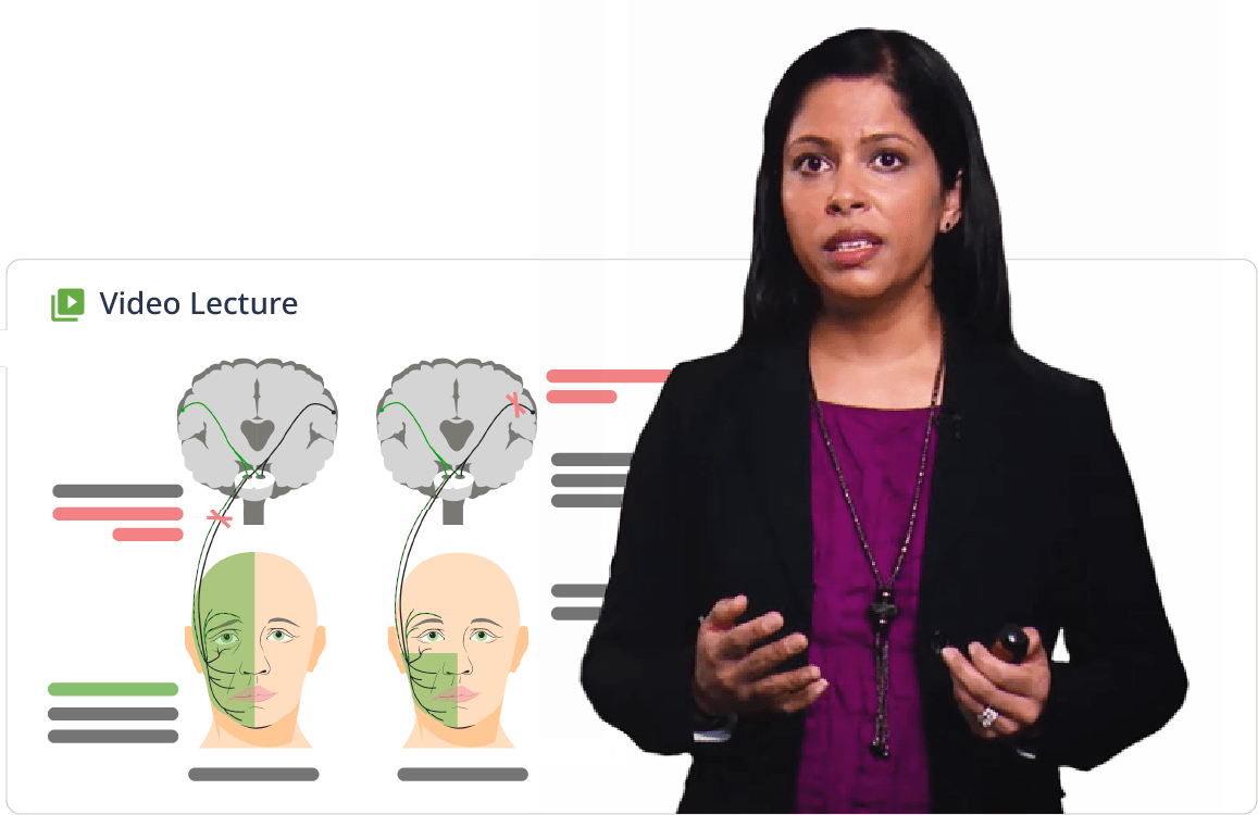 Video lecture pance educator slides min