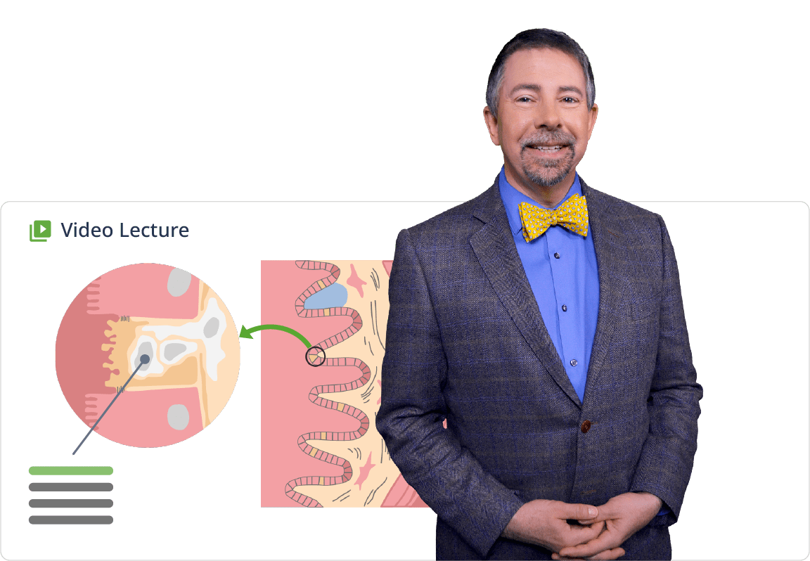 Video lecture usmle step1 educator slides min