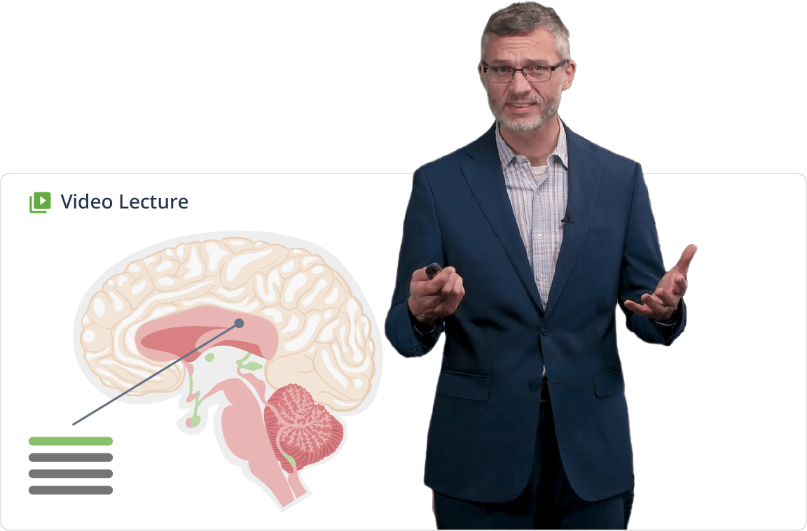 Video lecture usmle step2 educator slides min