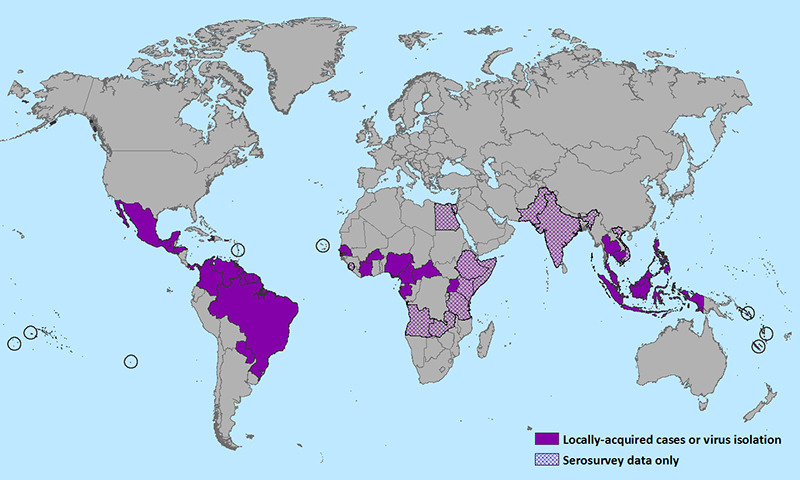 Mapa mundial do risco do vírus zika (2016)