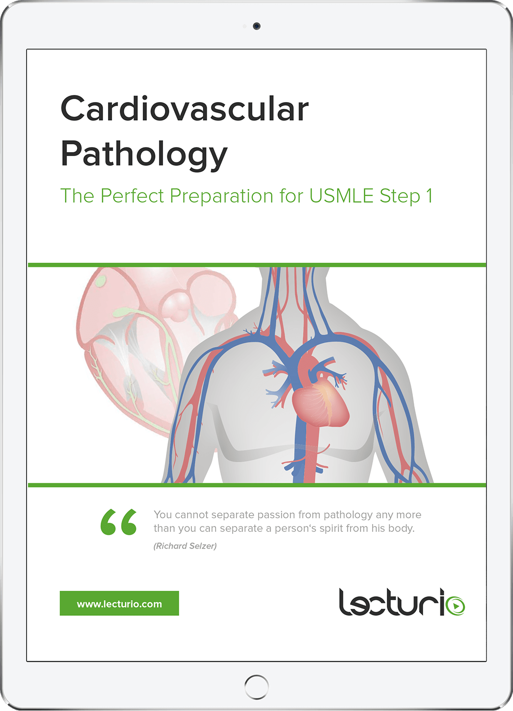 Cardiovascular Pathology (FREE eBook)