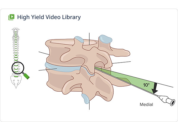Video lectures with downloadable slides