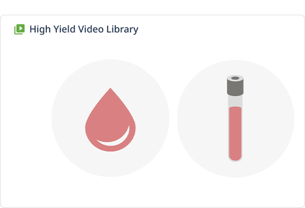 High-yield video lessons with downloadable slides