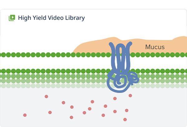 High-yield video lectures