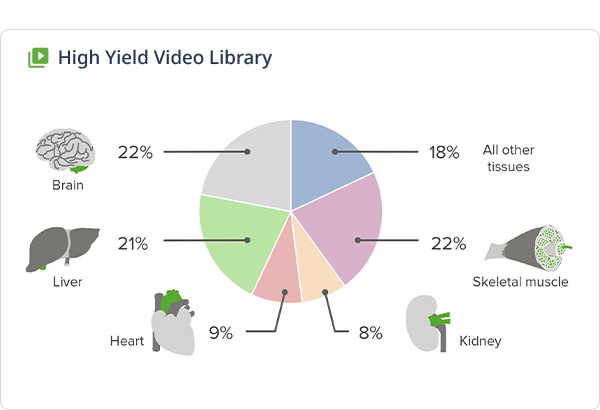 High-yield video lectures