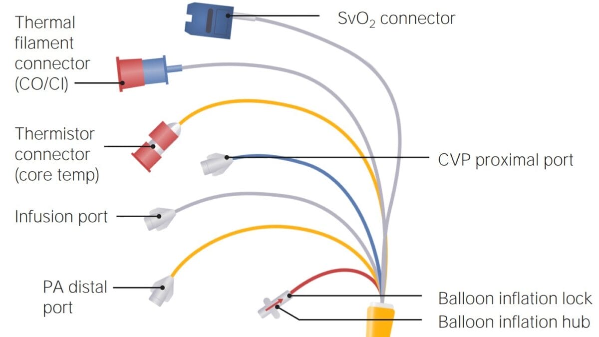 Elements of a Pulmonary Artery Catheter