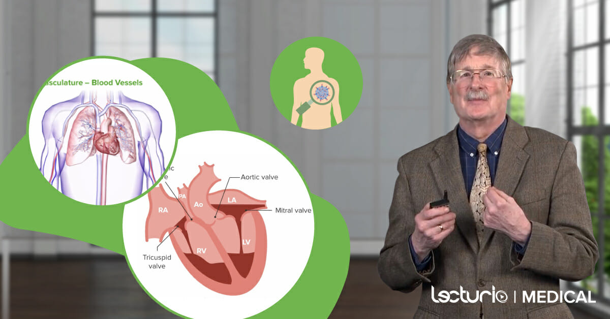 New Lecturio course about Cardiovascular Pathology with Richard Mitchell