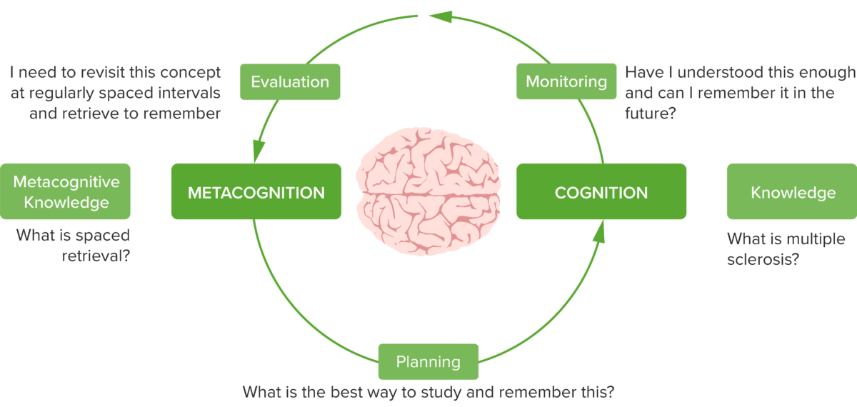 Cognition and metacognition