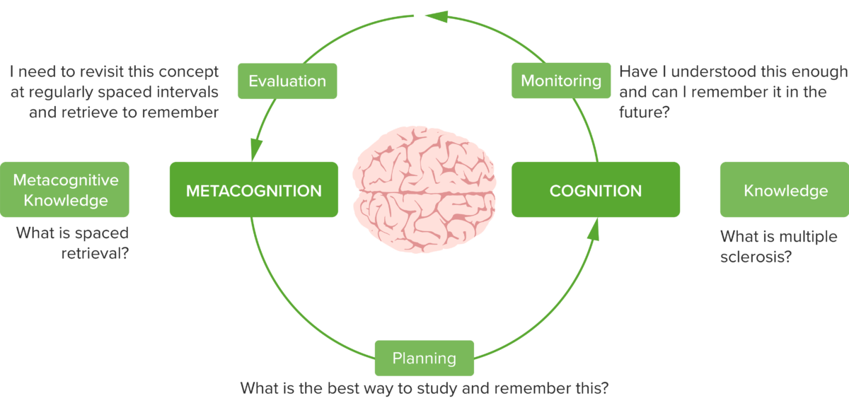 https://cdn.lecturio.com/assets/metacognition-cognition_02-1200x570.png