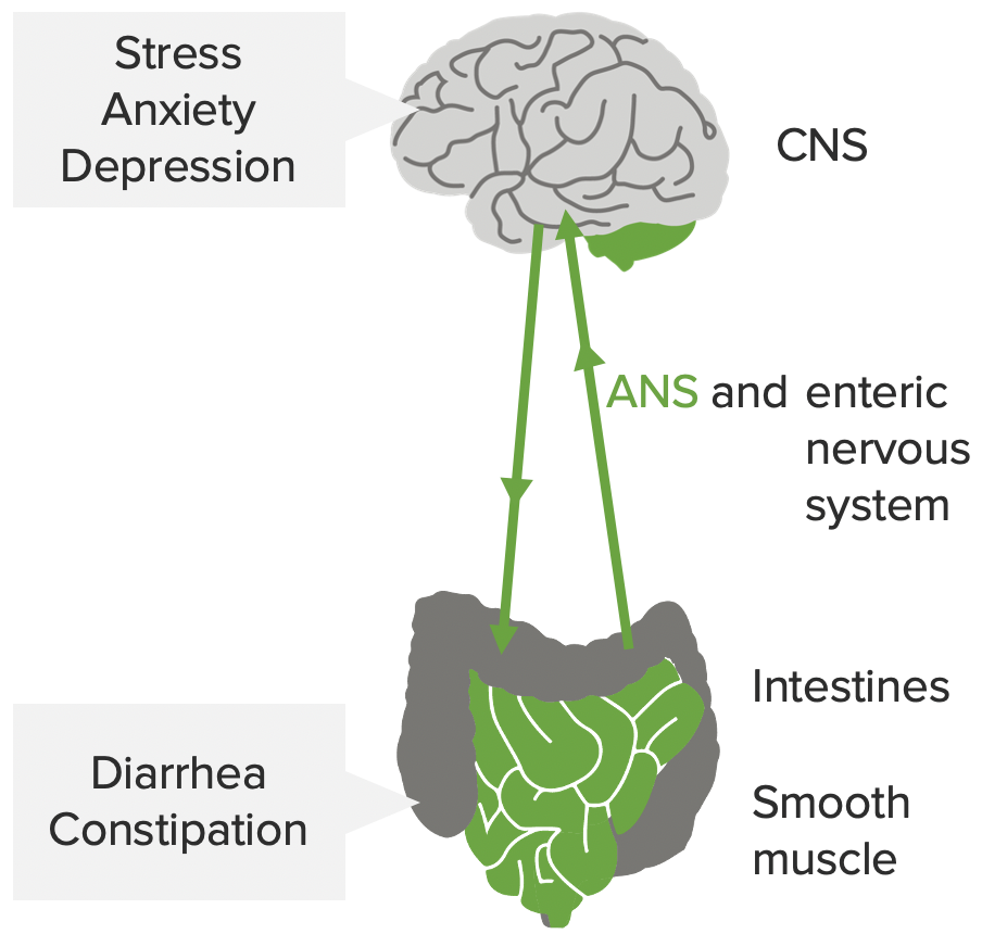 Mind-gut interaction contributing to the pathophysiology of ibs