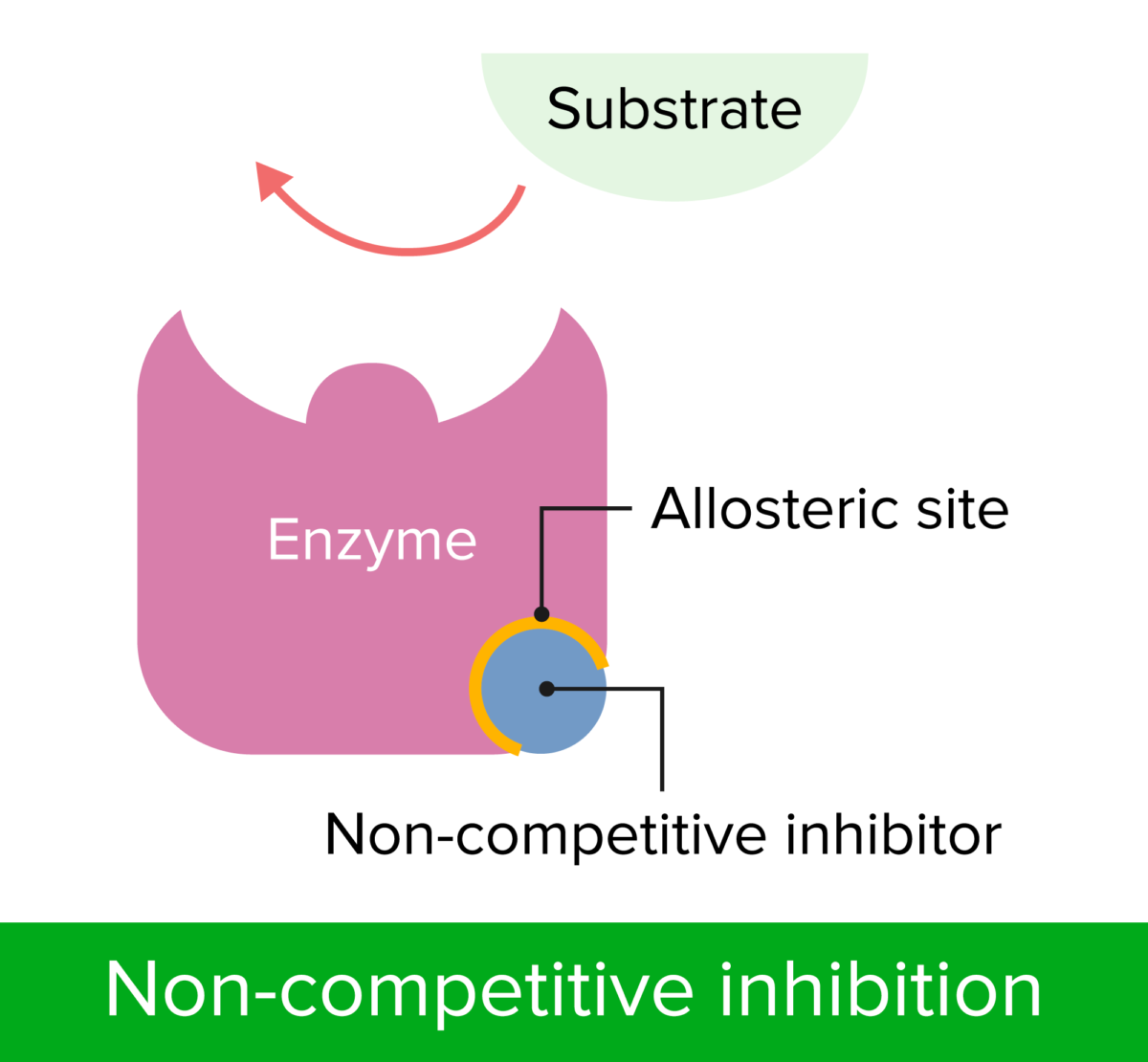 Non competitive inhibition