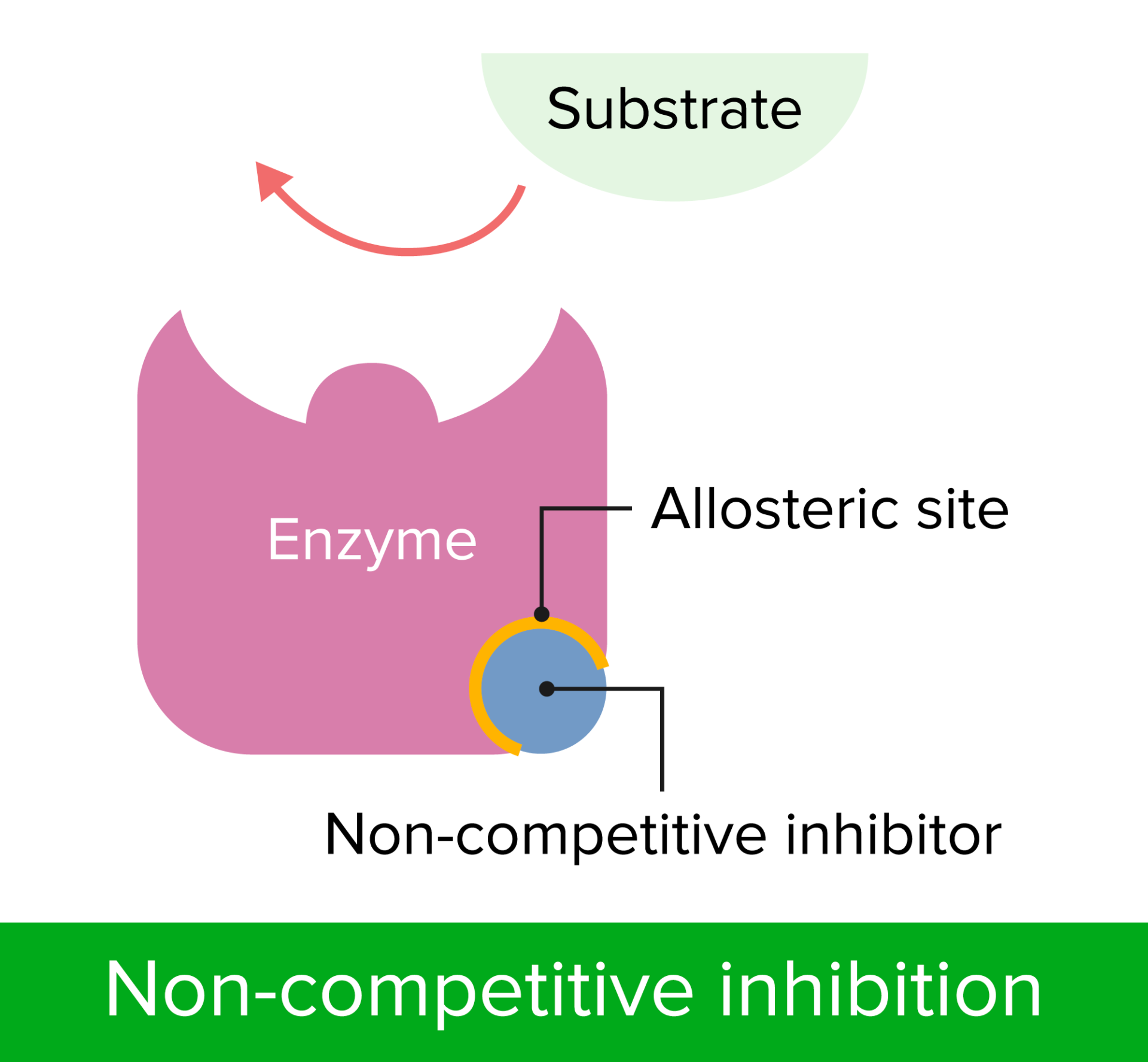 Enzyme Inhibition Concise Medical Knowledge 6342