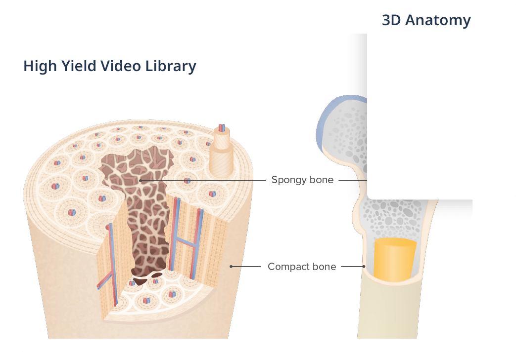 Nursing header video library v2 min