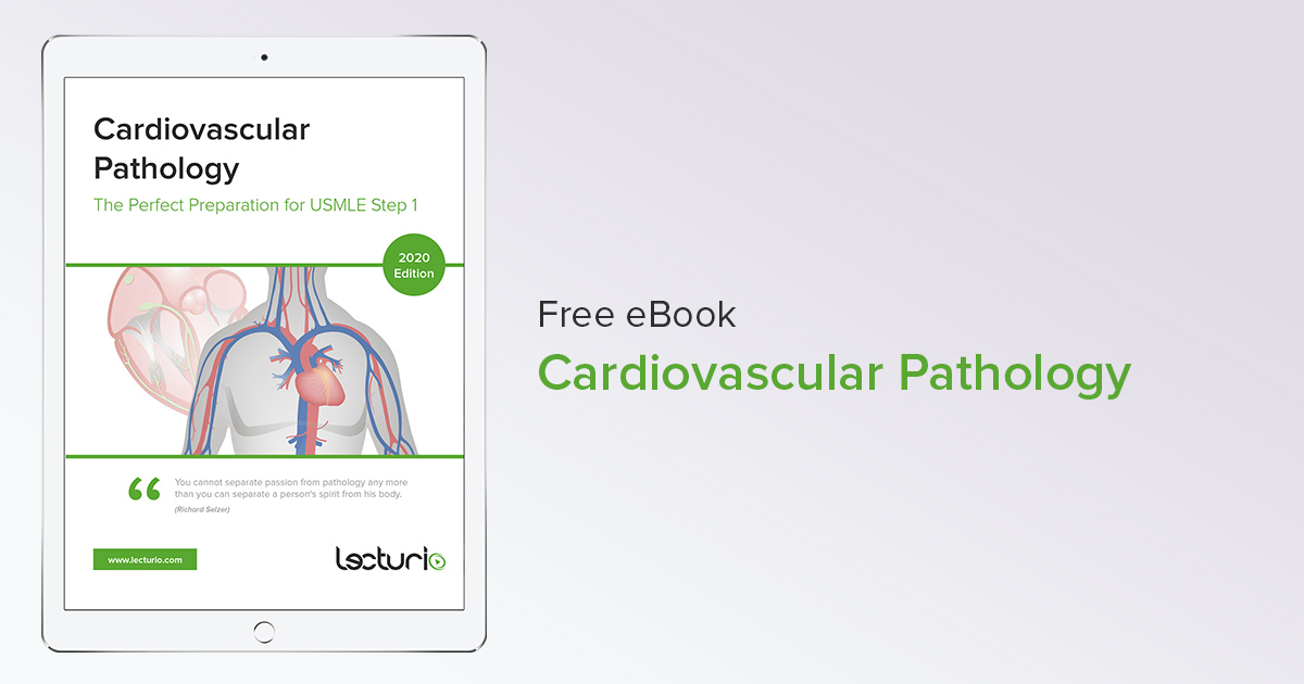 Cardiovascular Pathology (FREE eBook)