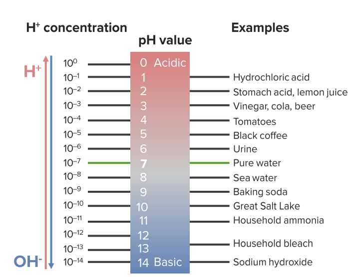 Ph scale acidity and basicity