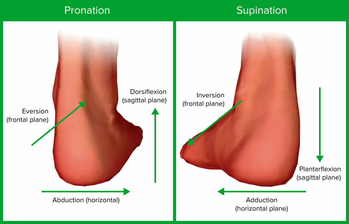 Pronation and supination