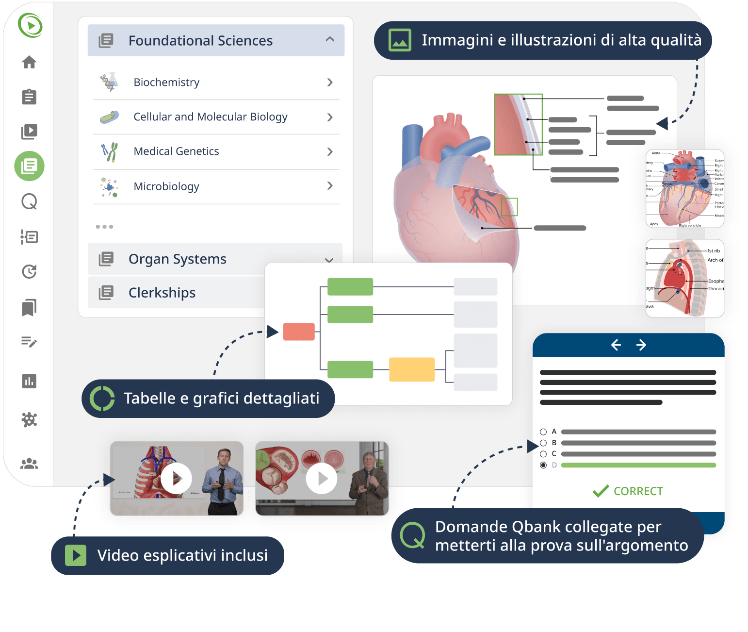 Screenshot di una piattaforma interattiva per l'apprendimento delle scienze biologiche.