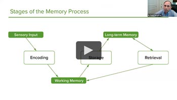 Thumbnail understanding memory to enhance learning in medical education