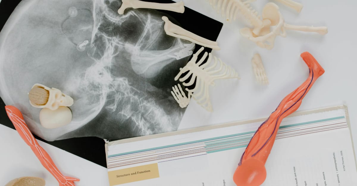 Desk full of medical study materials